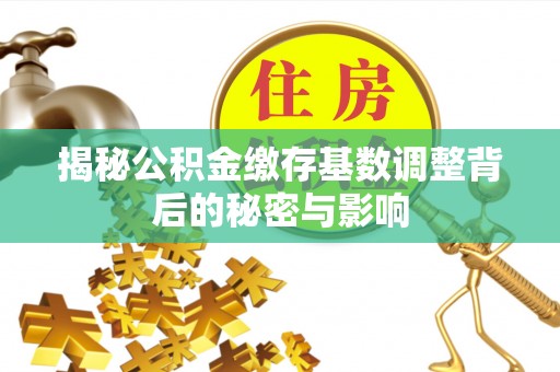 抚顺揭秘公积金缴存基数调整背后的秘密与影响