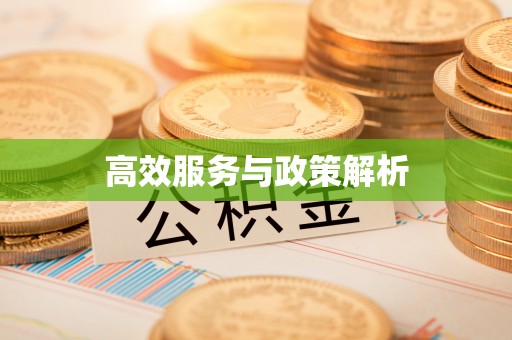 抚顺高效服务与政策解析
