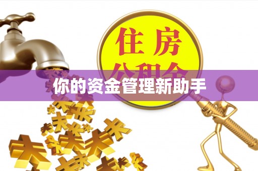 抚顺你的资金管理新助手