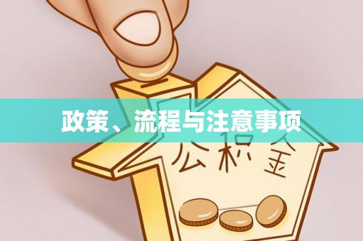 抚顺政策、流程与注意事项