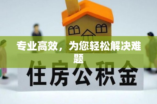 抚顺专业高效，为您轻松解决难题