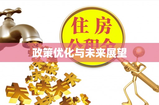 抚顺政策优化与未来展望