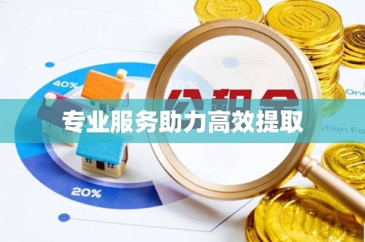 抚顺专业服务助力高效提取