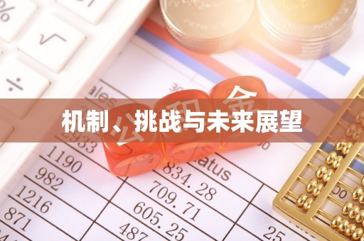 抚顺机制、挑战与未来展望